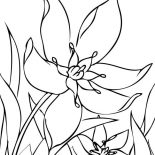 Spring Flower, Spring Flower Begin To Bloom Coloring Page: Spring Flower Begin to Bloom Coloring Page