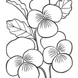 Spring Flower, Spring Flower For Love Ones Coloring Page: Spring Flower for Love Ones Coloring Page