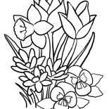 Nature, Spring Flower Of Nature Coloring Page: Spring Flower of Nature Coloring Page