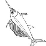 Swordfish, Very Strong Fish Swordfish Coloring Page: Very Strong Fish Swordfish Coloring Page