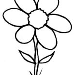 Spring Flower, Wild Spring Flower Is Grow Up Coloring Page: Wild Spring Flower is Grow Up Coloring Page