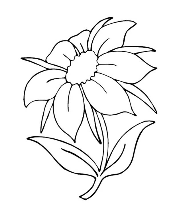 Nature, : Charming Flower in Nature Coloring Page