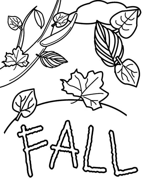 Autumn, : Fall Leaves in Autumn Season Coloring Page