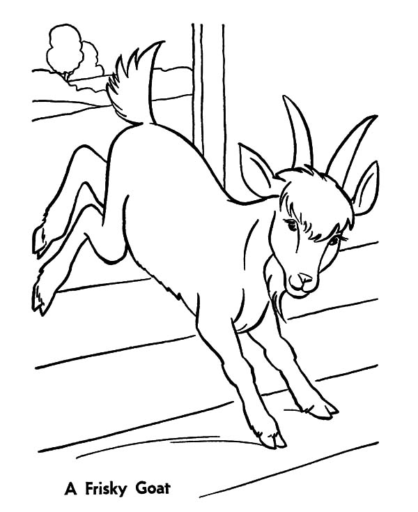 Goat, : A Frisky Goat Coloring Pages