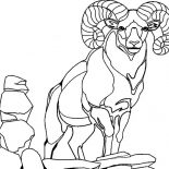 Goat, Alpha Male Goat Coloring Pages: Alpha Male Goat Coloring Pages