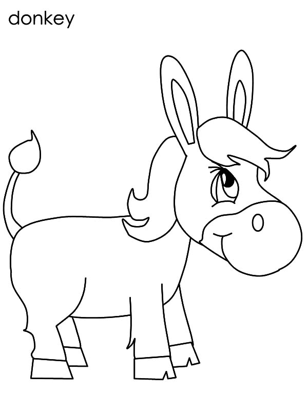Mexican Donkey, : Chibi Mexican Donkey Coloring Pages