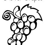 Grapes, G Is For Grapes Coloring Pages: G is for Grapes Coloring Pages