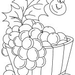 Grapes, Grapes Bucket Coloring Pages: Grapes Bucket Coloring Pages