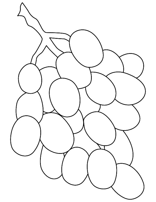 Grapes, : Grapes Outline Coloring Pages