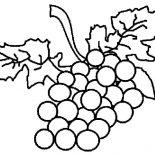 Grapes, Grapes Therapy Coloring Pages: Grapes Therapy Coloring Pages