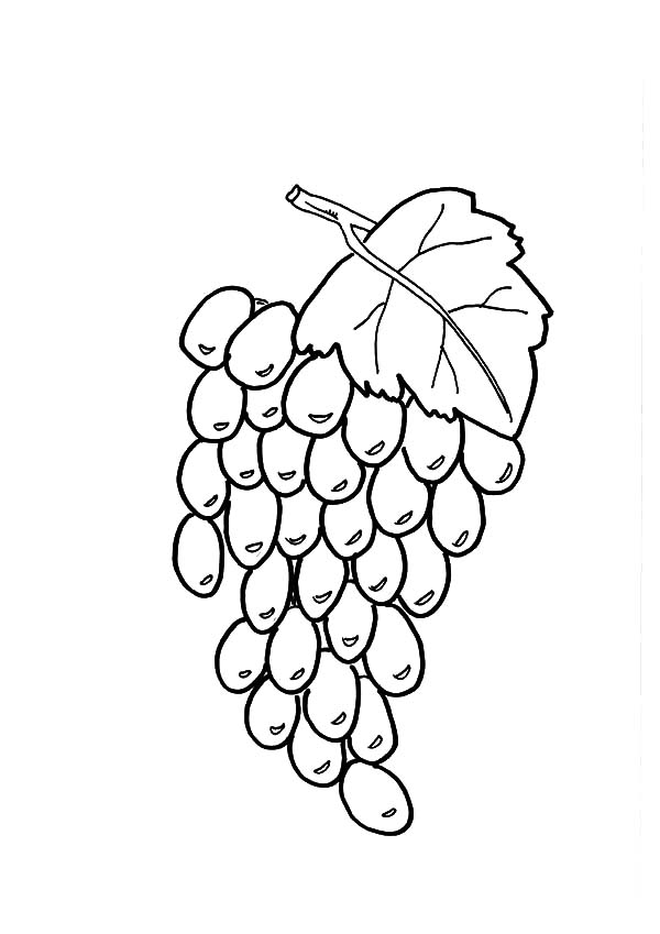 Grapes, : Healthy Fruit Grapes Coloring Pages
