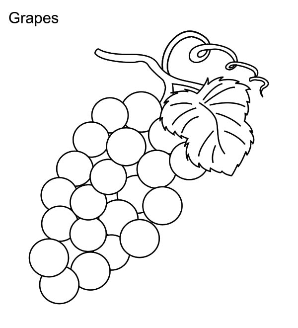 Grapes, : How to Draw Grapes Coloring Pages