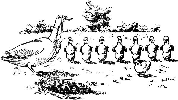 Mallard Duck, : Mallard Duck Morning Ceremony Coloring Pages
