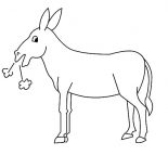 Mexican Donkey, Mexican Donkey Hard Breathing Coloring Pages: Mexican Donkey Hard Breathing Coloring Pages