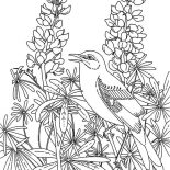 Mockingbird, Mockingbird In The Flower Garden Coloring Pages: Mockingbird in the Flower Garden Coloring Pages
