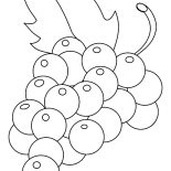 Grapes, Multiple Color Fruit Grapes Coloring Pages: Multiple Color Fruit Grapes Coloring Pages