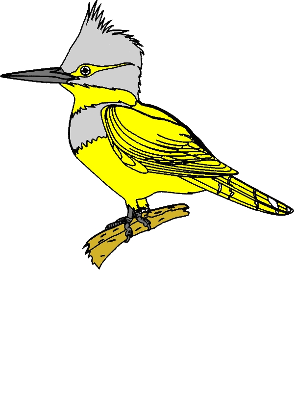Bird Coloring Page For Kids by years old Stephen J  Hamlin  