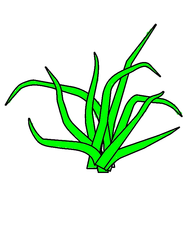 Broken Grass Coloring Pages by years old Henry D  Roberts  