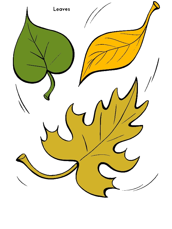 Fall Leaf To The Ground Coloring Page by years old Robert E  Lopez  