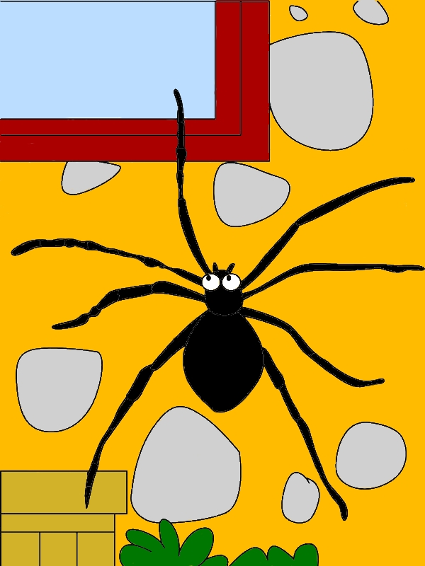Flat Spider From Above Coloring Page by years old Evelyn T  Whaley  