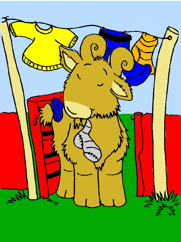 Goat Chewing A Sock Coloring Pages by years old Sara L  Seger  
