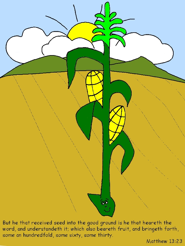 Seed That Fall Into Good Ground In Parable Of The Sower Coloring Page by years old Shaun T  Smith  