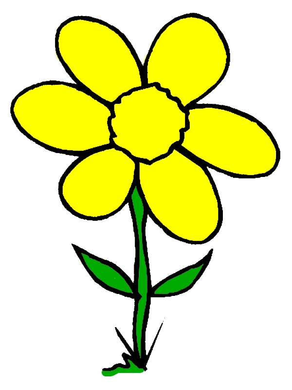 Wild Spring Flower Is Grow Up Coloring Page by years old Pamela B  Burnett  